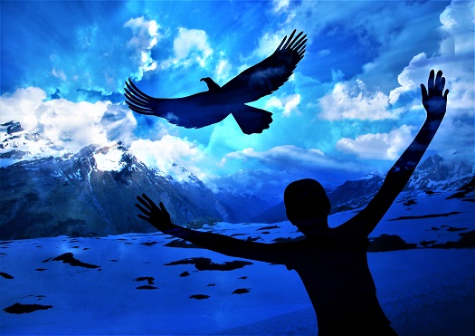 moving on eagle and boy 525x371