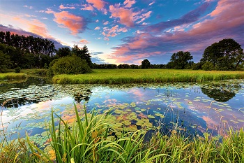 Birth Announcement 2 350x233