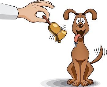 Comment 140220 2 350x287