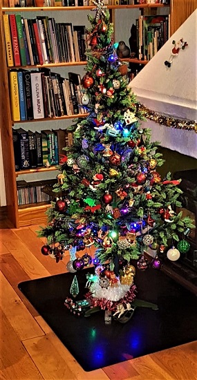Xmas Tree 2021 550x285